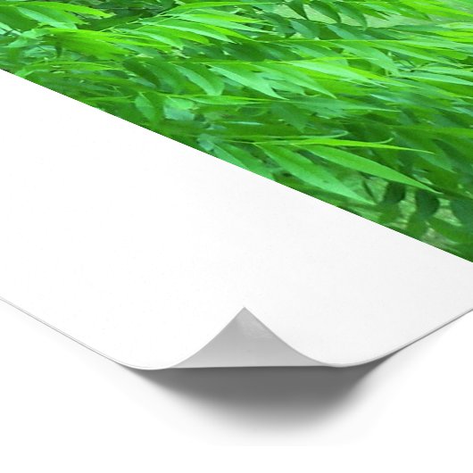 Ich bin ein Überlebenspposter Poster (Ecke)