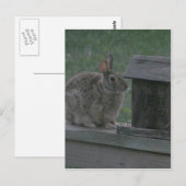 Ich bin eine Birdie Postkarte (Vorne/Hinten)