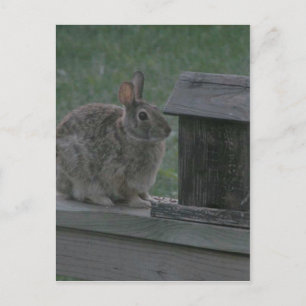 Ich bin eine Birdie Postkarte