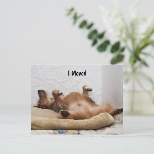 Ich bin erschöpft! Postkarte (Stehend Vorderseite)