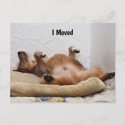 Ich bin erschöpft! Postkarte (Vorderseite)