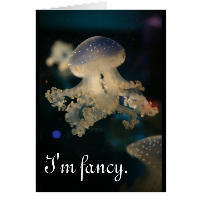 Ich bin extravagant (Vorne)