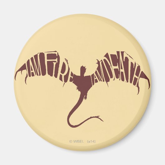 Ich bin Feuer, ich bin tot - Grafik Magnet (Vorne)