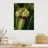 Ich bin Fleischfresser! Poster (Küche)