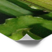 Ich bin Fleischfresser! Poster (Ecke)