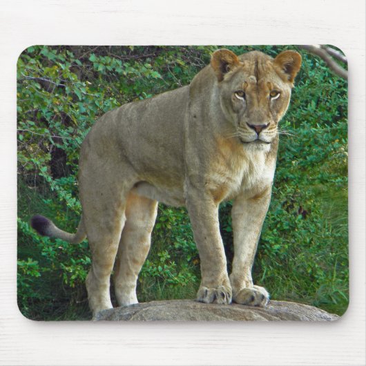 Ich bin Frau! Mousepad (Vorne)