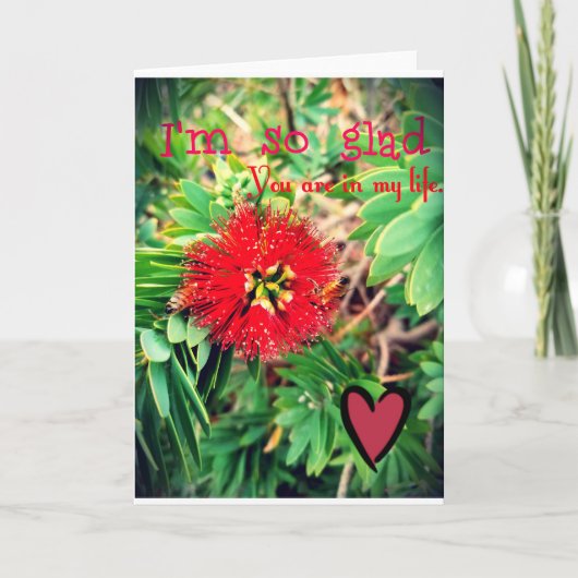 Ich bin froh, dass du in meinem Leben bist Karte (Vorderseite)