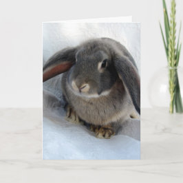 Ich bin ganz Ohr für dich Karte