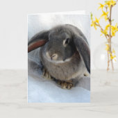 Ich bin ganz Ohr für dich Karte (Gelbe Blume)