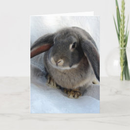 Ich bin ganz Ohr für dich Karte