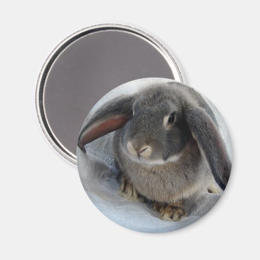 Ich bin ganz Ohr für dich Magnet (Vorderseite/Rückseite)