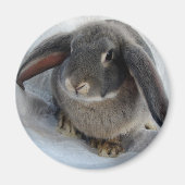 Ich bin ganz Ohr für dich Magnet (Vorne)