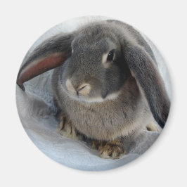 Ich bin ganz Ohr für dich Magnet