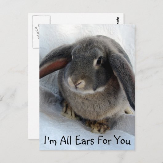 Ich bin ganz Ohr für dich Postkarte (Vorne/Hinten)