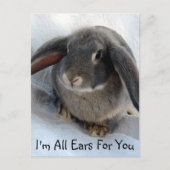 Ich bin ganz Ohr für dich Postkarte (Vorderseite)