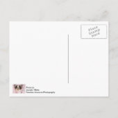 Ich bin ganz Ohr Postkarte (Rückseite)