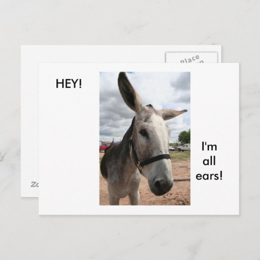 Ich bin ganz Ohr Postkarte (Vorne/Hinten)