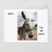 Ich bin ganz Ohr Postkarte (Vorderseite)