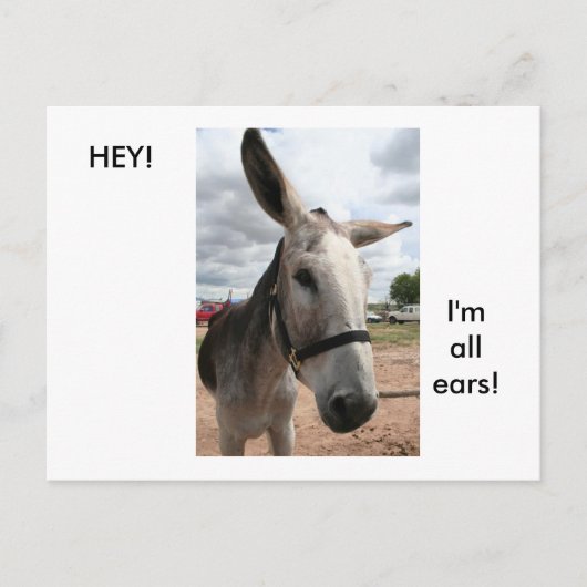 Ich bin ganz Ohr Postkarte (Vorderseite)