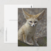 Ich bin ganz Ohr Postkarte (Vorne/Hinten)