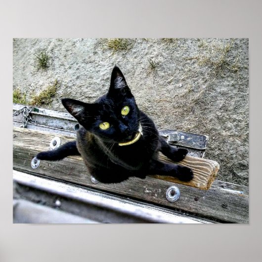 Ich bin Gewartet Poster (Vorne)