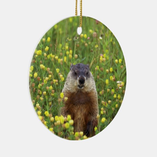Ich bin Groundhog Keramikornament (Rechts)