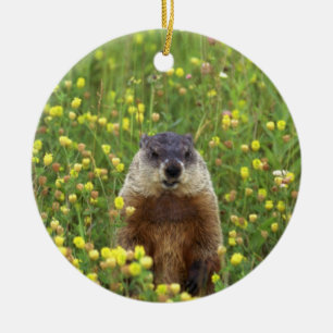 Ich bin Groundhog Keramikornament