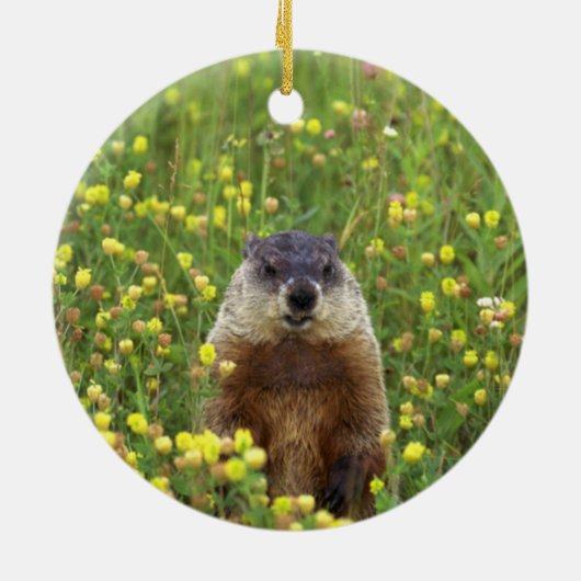 Ich bin Groundhog Keramikornament (Hinten)