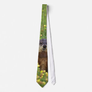 Ich bin Groundhog Krawatte