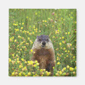 Ich bin Groundhog Magnet (Vorne)