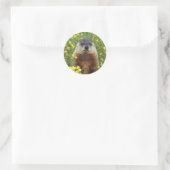 Ich bin Groundhog Sticker (Tasche)