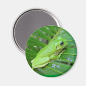 Ich bin grün magnet (Vorderseite/Rückseite)