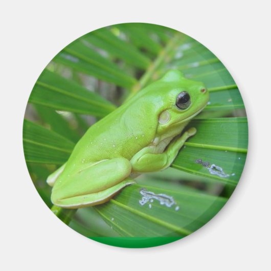 Ich bin grün magnet (Vorne)