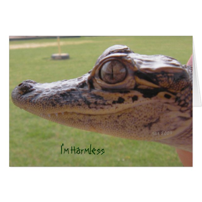 Ich bin harmlos (Vorderseite (Horizontal))