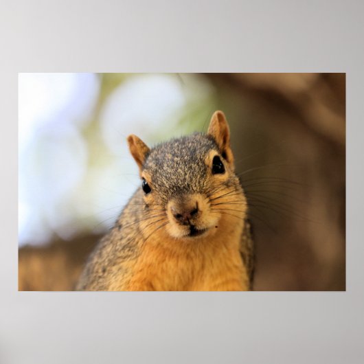 Ich bin heimlich subversiv! Mwah, hah, hah! Poster (Vorne)