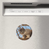 Ich bin hier magnet (In Situ (Geschirrspüler))