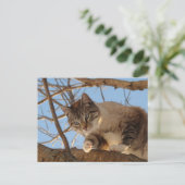 Ich bin hier oben postkarte (Stehend Vorderseite)