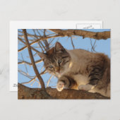 Ich bin hier oben postkarte (Vorne/Hinten)