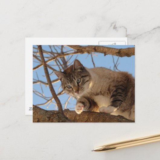 Ich bin hier oben postkarte (Vorderseite/Rückseite Beispiel)