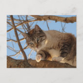 Ich bin hier oben postkarte (Vorderseite)