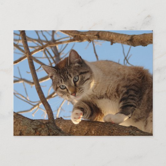 Ich bin hier oben postkarte (Vorderseite)