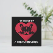 Ich bin im Besitz eines französischen Bulldoggen (Stehend Vorderseite)
