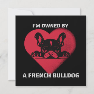 Ich bin im Besitz eines französischen Bulldoggen