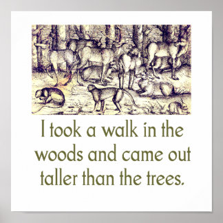 Ich bin im Wald spazieren gegangen - Zitat Poster