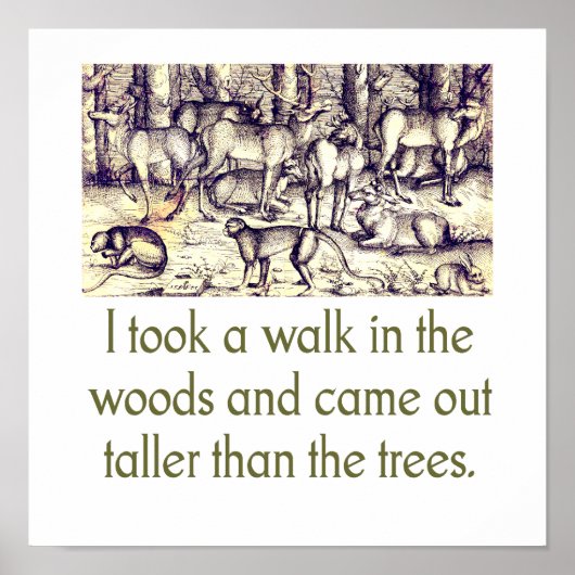 Ich bin im Wald spazieren gegangen - Zitat Poster (Vorne)
