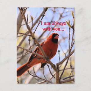 Ich bin immer bei dir... postkarte