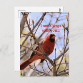 Ich bin immer bei dir... postkarte (Vorne/Hinten)