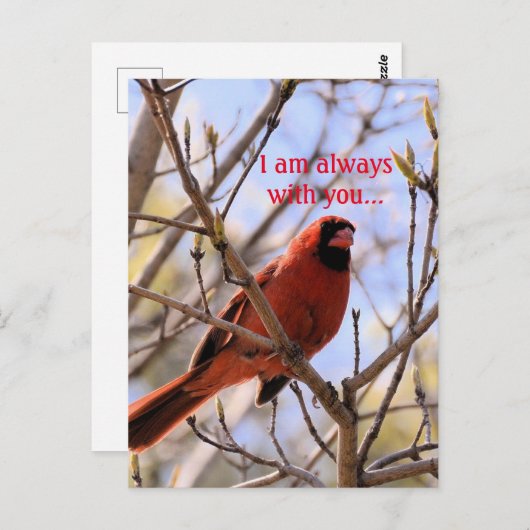 Ich bin immer bei dir... postkarte (Vorne/Hinten)