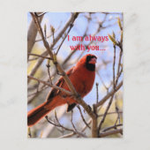 Ich bin immer bei dir... postkarte (Vorderseite)