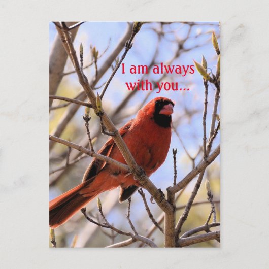 Ich bin immer bei dir... postkarte (Vorderseite)